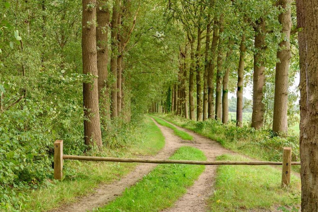 Prachtig Vrijstaand Familiehuis Op Groot Perceel Scherpenzeel  Buitenkant foto
